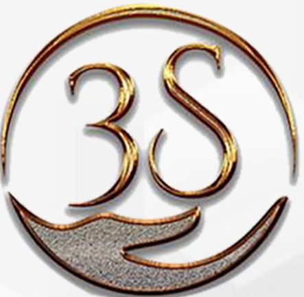 3S CARE Logo